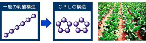 CPLd_