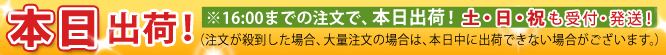 プラズマプラクシス、本日出荷!