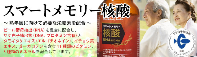 スマートメモリー核酸