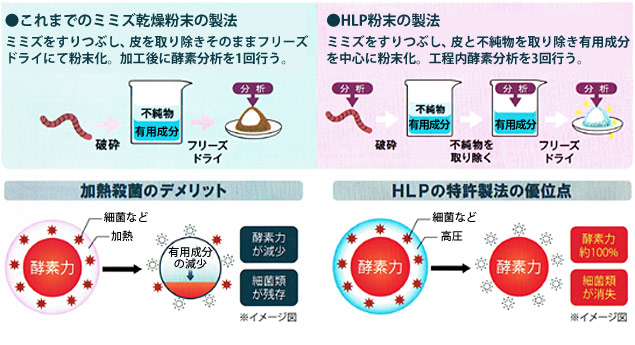 高純度のミミズ酵素粉末『HLP』とは