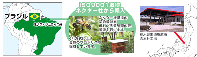 ブラジル プロポリス厳重な品質管理