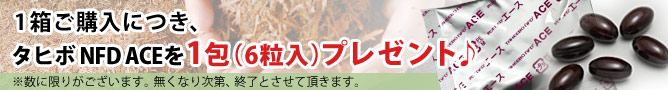 タヒボプレゼントキャンペーン