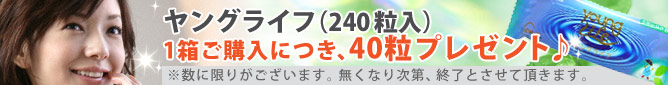 ヤングライフ・プレゼントキャンペーン♪
